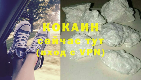 прущие крисы Аркадак